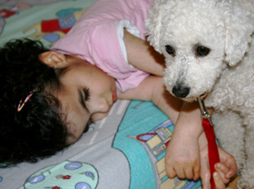 jael-hund.jpg